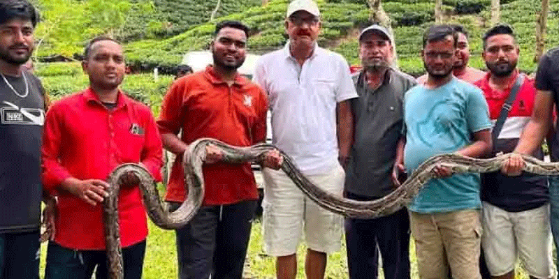 প্রধান উপদেষ্টা পদত্যাগ করবেন না: ফাইজ তাইয়েব আহমেদ