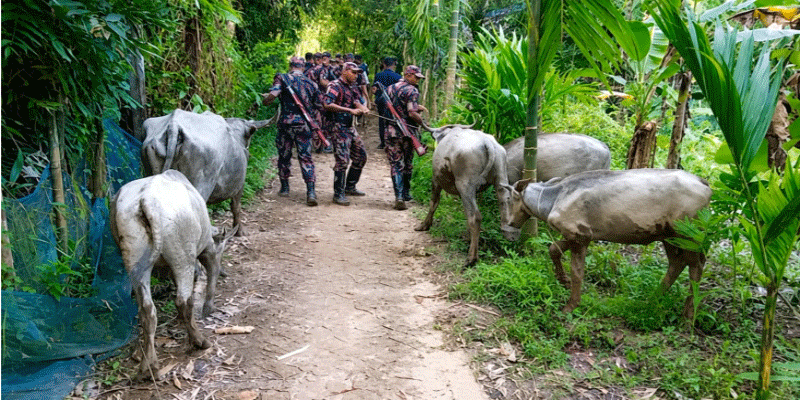 প্রধান উপদেষ্টা পদত্যাগ করবেন না: ফাইজ তাইয়েব আহমেদ