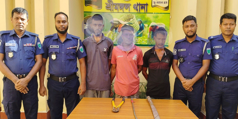 প্রধান উপদেষ্টা পদত্যাগ করবেন না: ফাইজ তাইয়েব আহমেদ