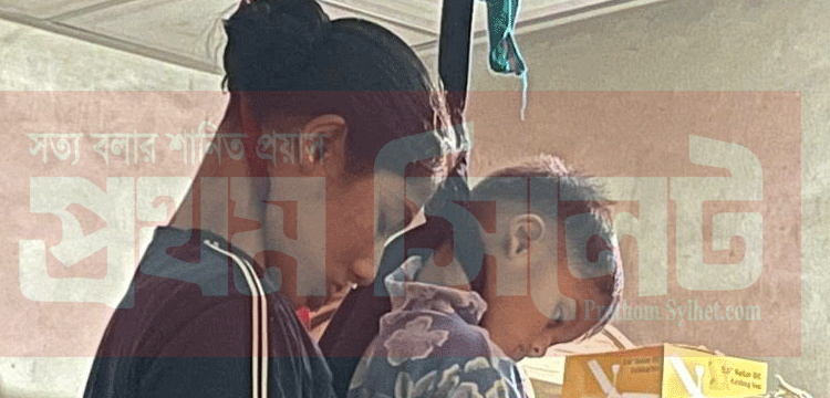 প্রধান উপদেষ্টা পদত্যাগ করবেন না: ফাইজ তাইয়েব আহমেদ