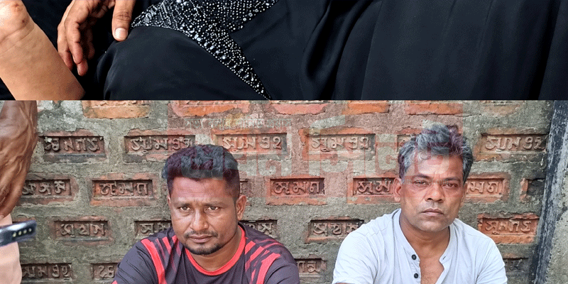 প্রধান উপদেষ্টা পদত্যাগ করবেন না: ফাইজ তাইয়েব আহমেদ