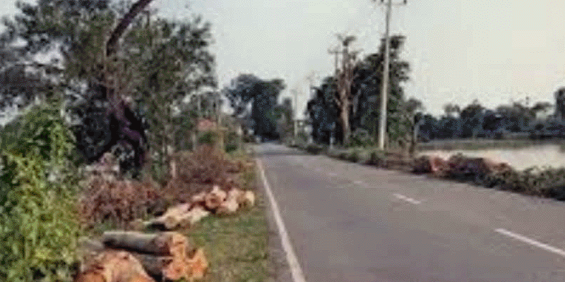 প্রধান উপদেষ্টা পদত্যাগ করবেন না: ফাইজ তাইয়েব আহমেদ