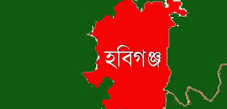 প্রধান উপদেষ্টা পদত্যাগ করবেন না: ফাইজ তাইয়েব আহমেদ