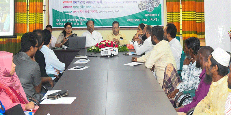 প্রধান উপদেষ্টা পদত্যাগ করবেন না: ফাইজ তাইয়েব আহমেদ