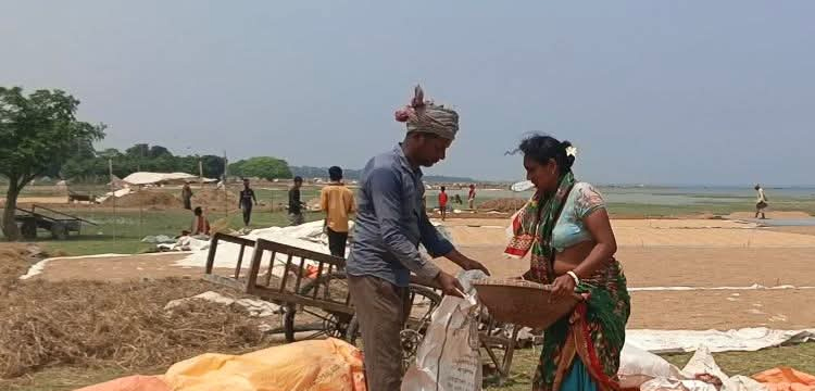 প্রধান উপদেষ্টা পদত্যাগ করবেন না: ফাইজ তাইয়েব আহমেদ