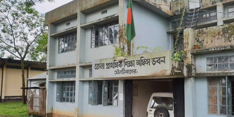 প্রধান উপদেষ্টা পদত্যাগ করবেন না: ফাইজ তাইয়েব আহমেদ