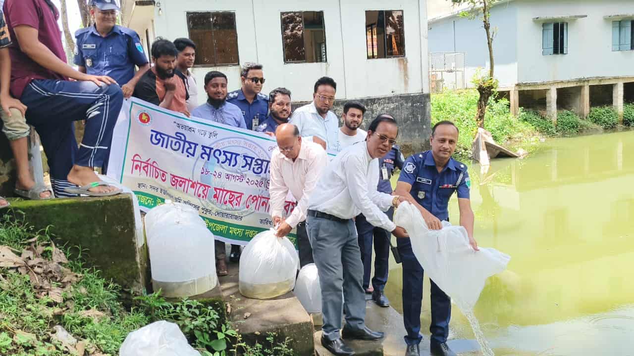 প্রধান উপদেষ্টা পদত্যাগ করবেন না: ফাইজ তাইয়েব আহমেদ