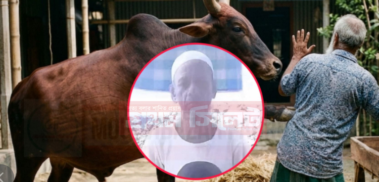 প্রধান উপদেষ্টা পদত্যাগ করবেন না: ফাইজ তাইয়েব আহমেদ