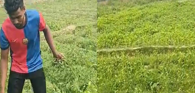 প্রধান উপদেষ্টা পদত্যাগ করবেন না: ফাইজ তাইয়েব আহমেদ