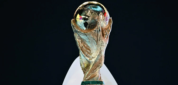 প্রধান উপদেষ্টা পদত্যাগ করবেন না: ফাইজ তাইয়েব আহমেদ