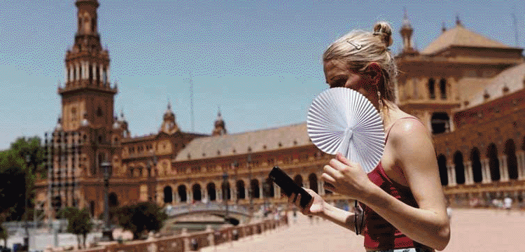 প্রধান উপদেষ্টা পদত্যাগ করবেন না: ফাইজ তাইয়েব আহমেদ