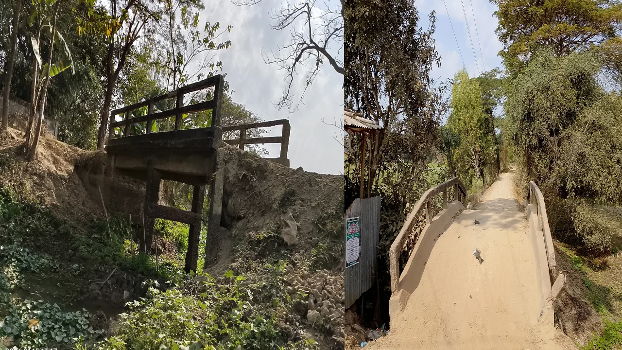 প্রধান উপদেষ্টা পদত্যাগ করবেন না: ফাইজ তাইয়েব আহমেদ