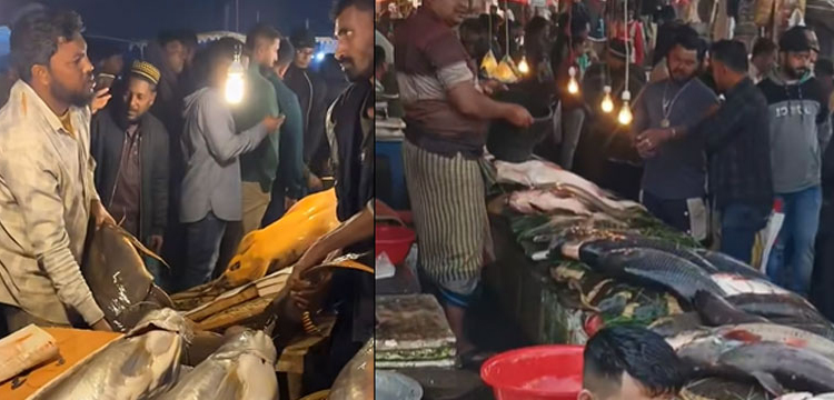প্রধান উপদেষ্টা পদত্যাগ করবেন না: ফাইজ তাইয়েব আহমেদ