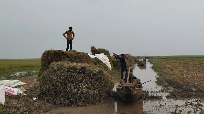 প্রধান উপদেষ্টা পদত্যাগ করবেন না: ফাইজ তাইয়েব আহমেদ