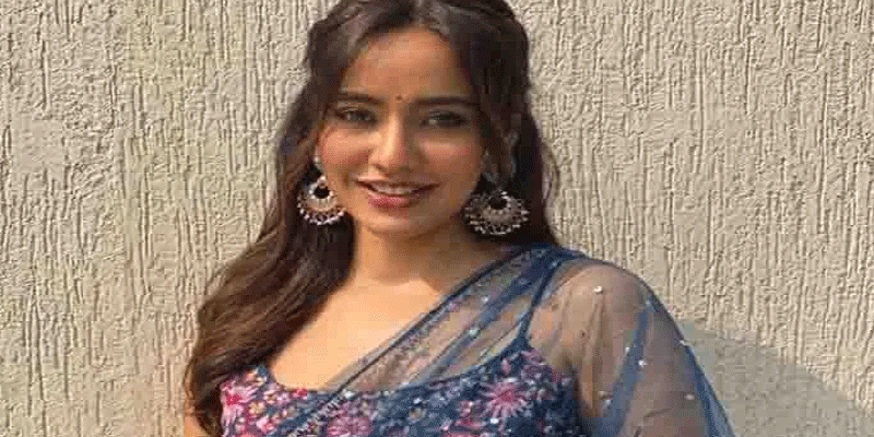 প্রধান উপদেষ্টা পদত্যাগ করবেন না: ফাইজ তাইয়েব আহমেদ