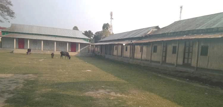 প্রধান উপদেষ্টা পদত্যাগ করবেন না: ফাইজ তাইয়েব আহমেদ