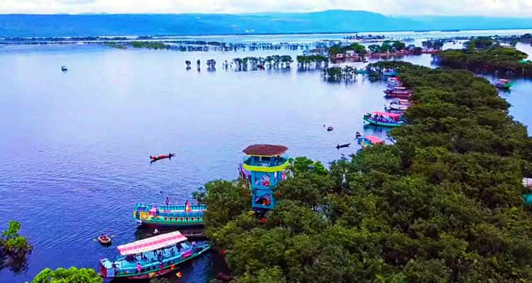 প্রধান উপদেষ্টা পদত্যাগ করবেন না: ফাইজ তাইয়েব আহমেদ