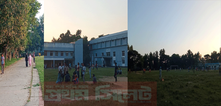 প্রধান উপদেষ্টা পদত্যাগ করবেন না: ফাইজ তাইয়েব আহমেদ