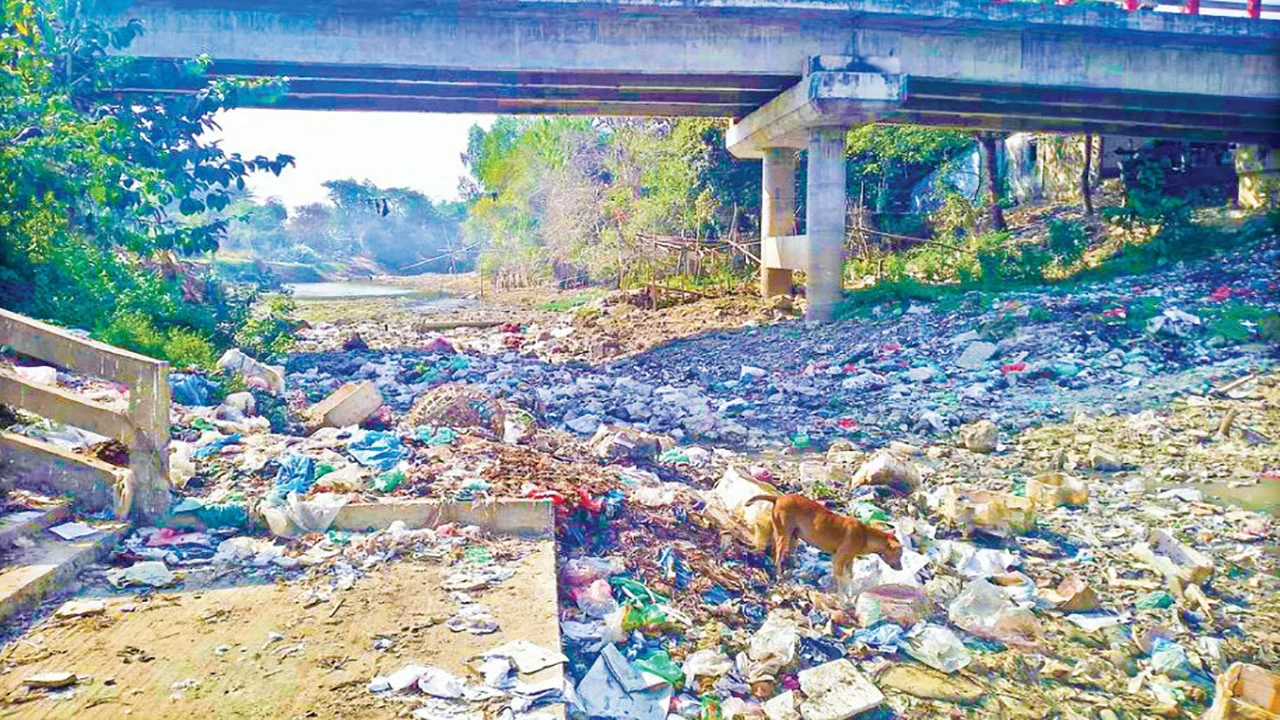 প্রধান উপদেষ্টা পদত্যাগ করবেন না: ফাইজ তাইয়েব আহমেদ