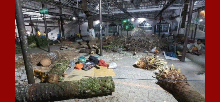 প্রধান উপদেষ্টা পদত্যাগ করবেন না: ফাইজ তাইয়েব আহমেদ