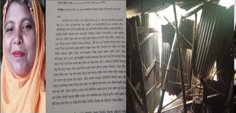প্রধান উপদেষ্টা পদত্যাগ করবেন না: ফাইজ তাইয়েব আহমেদ
