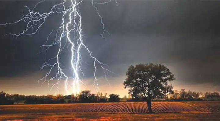 প্রধান উপদেষ্টা পদত্যাগ করবেন না: ফাইজ তাইয়েব আহমেদ