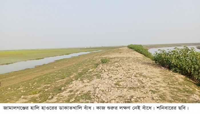 প্রধান উপদেষ্টা পদত্যাগ করবেন না: ফাইজ তাইয়েব আহমেদ