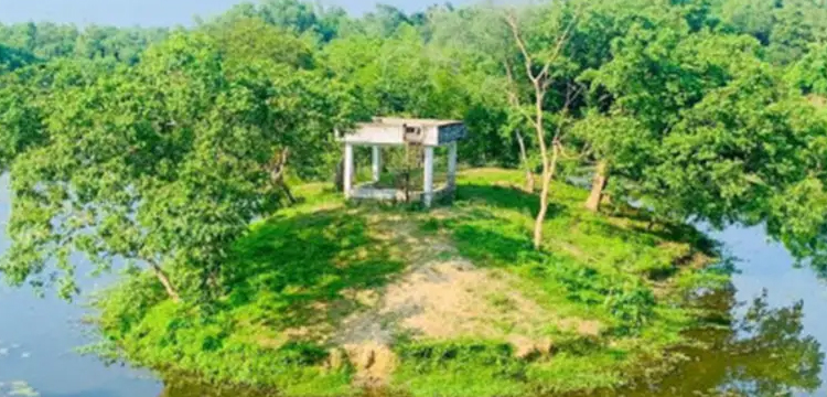প্রধান উপদেষ্টা পদত্যাগ করবেন না: ফাইজ তাইয়েব আহমেদ