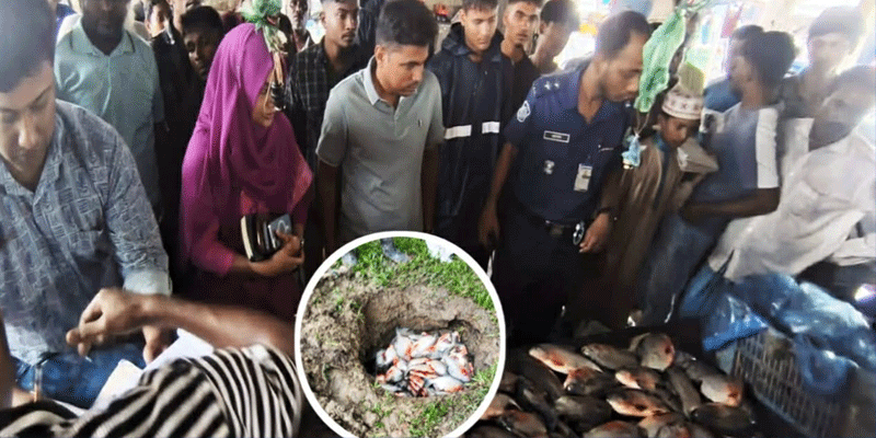 প্রধান উপদেষ্টা পদত্যাগ করবেন না: ফাইজ তাইয়েব আহমেদ