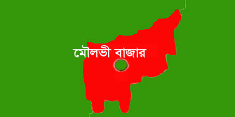 প্রধান উপদেষ্টা পদত্যাগ করবেন না: ফাইজ তাইয়েব আহমেদ