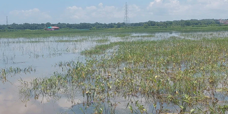 প্রধান উপদেষ্টা পদত্যাগ করবেন না: ফাইজ তাইয়েব আহমেদ