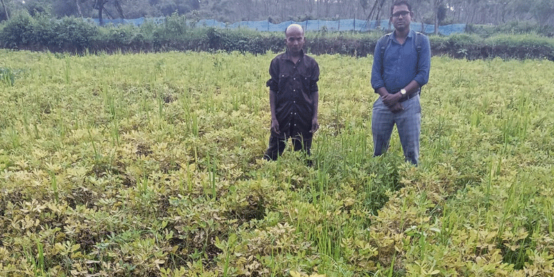 প্রধান উপদেষ্টা পদত্যাগ করবেন না: ফাইজ তাইয়েব আহমেদ