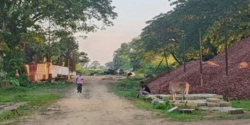 প্রধান উপদেষ্টা পদত্যাগ করবেন না: ফাইজ তাইয়েব আহমেদ