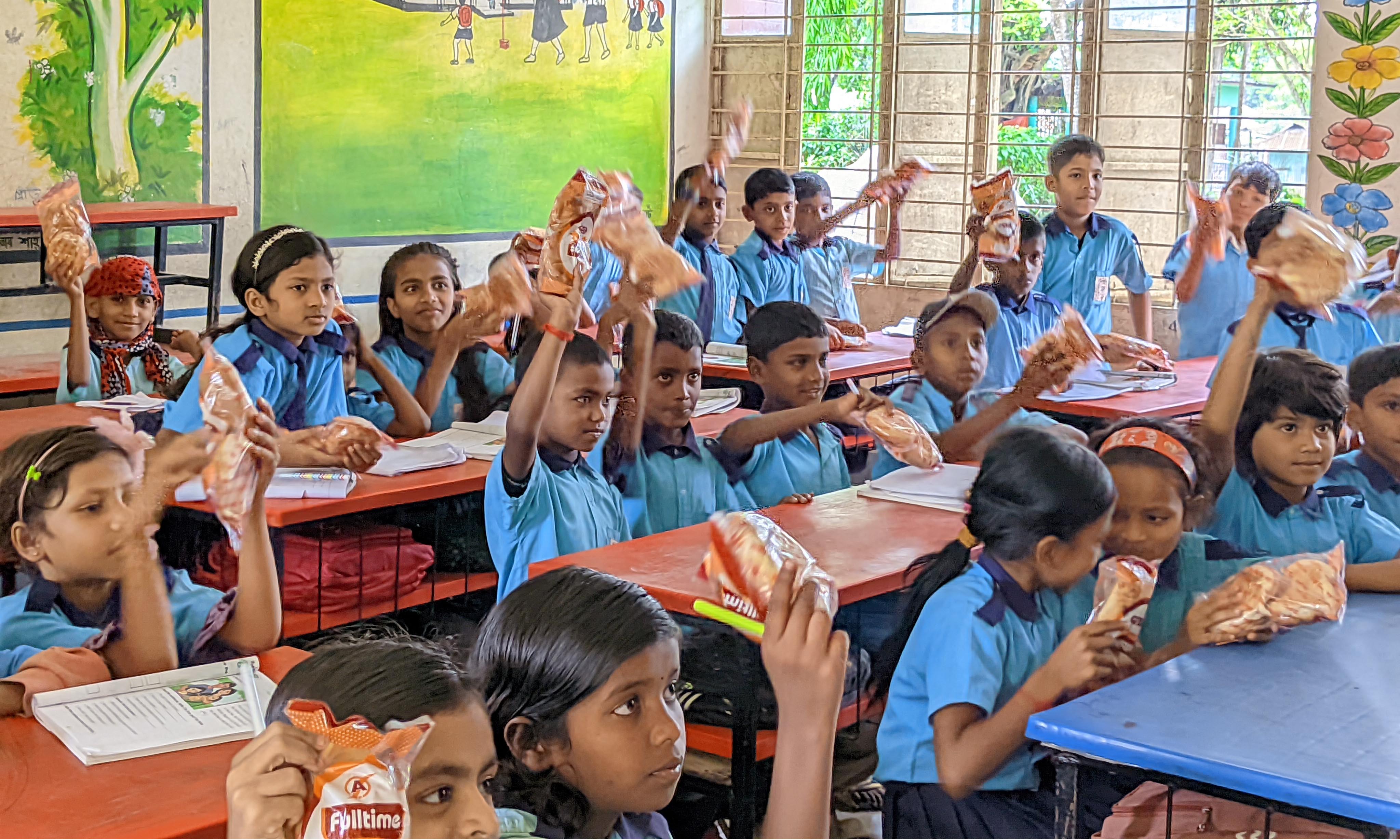 প্রধান উপদেষ্টা পদত্যাগ করবেন না: ফাইজ তাইয়েব আহমেদ