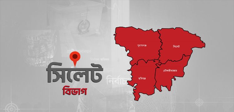 প্রধান উপদেষ্টা পদত্যাগ করবেন না: ফাইজ তাইয়েব আহমেদ