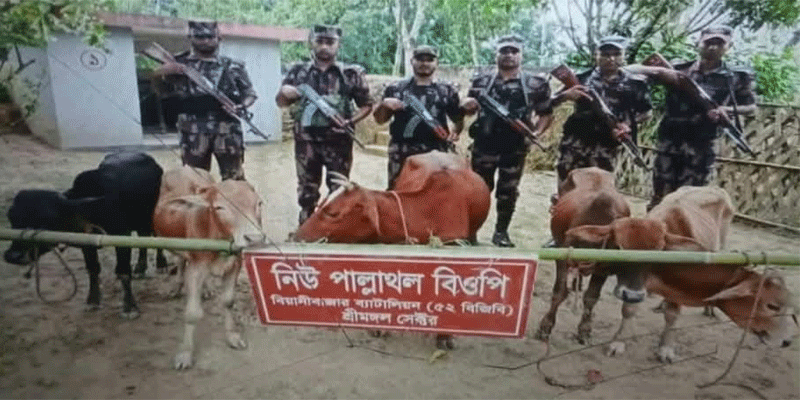প্রধান উপদেষ্টা পদত্যাগ করবেন না: ফাইজ তাইয়েব আহমেদ