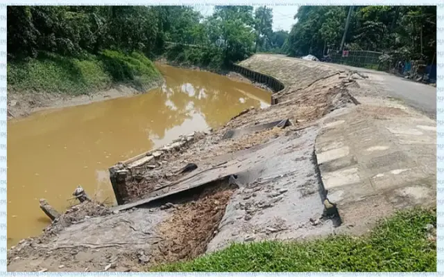 প্রধান উপদেষ্টা পদত্যাগ করবেন না: ফাইজ তাইয়েব আহমেদ