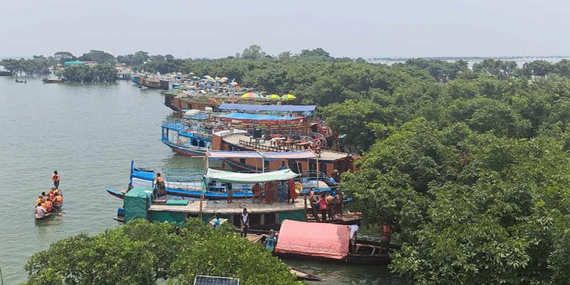 প্রধান উপদেষ্টা পদত্যাগ করবেন না: ফাইজ তাইয়েব আহমেদ