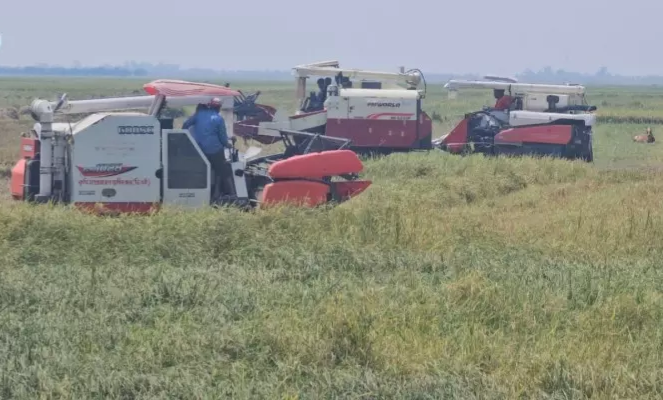 প্রধান উপদেষ্টা পদত্যাগ করবেন না: ফাইজ তাইয়েব আহমেদ