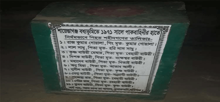 প্রধান উপদেষ্টা পদত্যাগ করবেন না: ফাইজ তাইয়েব আহমেদ
