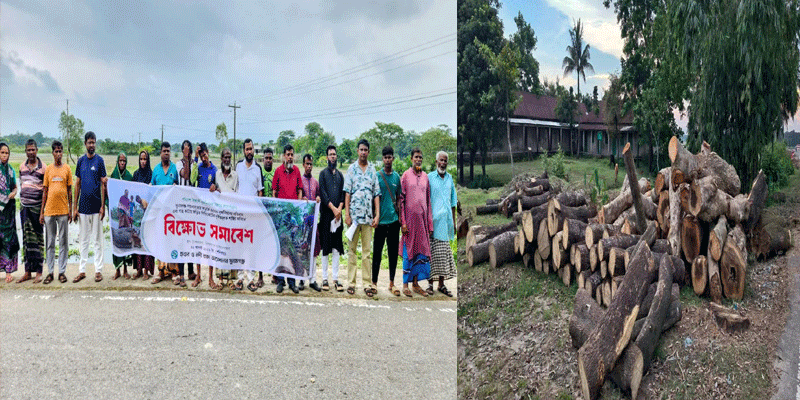 প্রধান উপদেষ্টা পদত্যাগ করবেন না: ফাইজ তাইয়েব আহমেদ