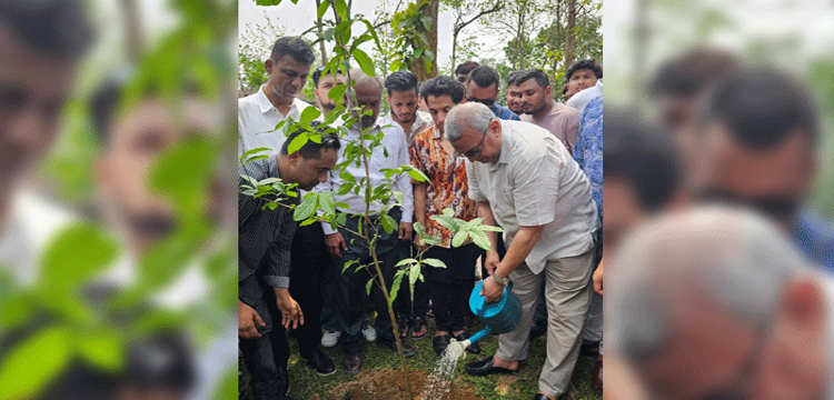 প্রধান উপদেষ্টা পদত্যাগ করবেন না: ফাইজ তাইয়েব আহমেদ