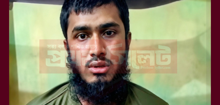 প্রধান উপদেষ্টা পদত্যাগ করবেন না: ফাইজ তাইয়েব আহমেদ