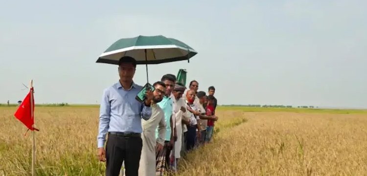 প্রধান উপদেষ্টা পদত্যাগ করবেন না: ফাইজ তাইয়েব আহমেদ