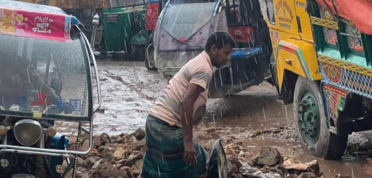 প্রধান উপদেষ্টা পদত্যাগ করবেন না: ফাইজ তাইয়েব আহমেদ