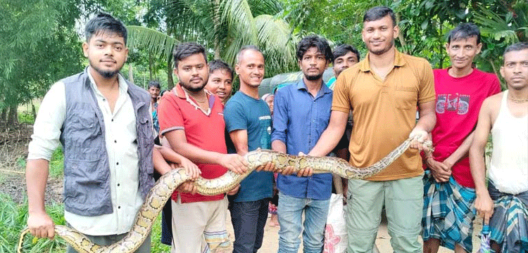 প্রধান উপদেষ্টা পদত্যাগ করবেন না: ফাইজ তাইয়েব আহমেদ