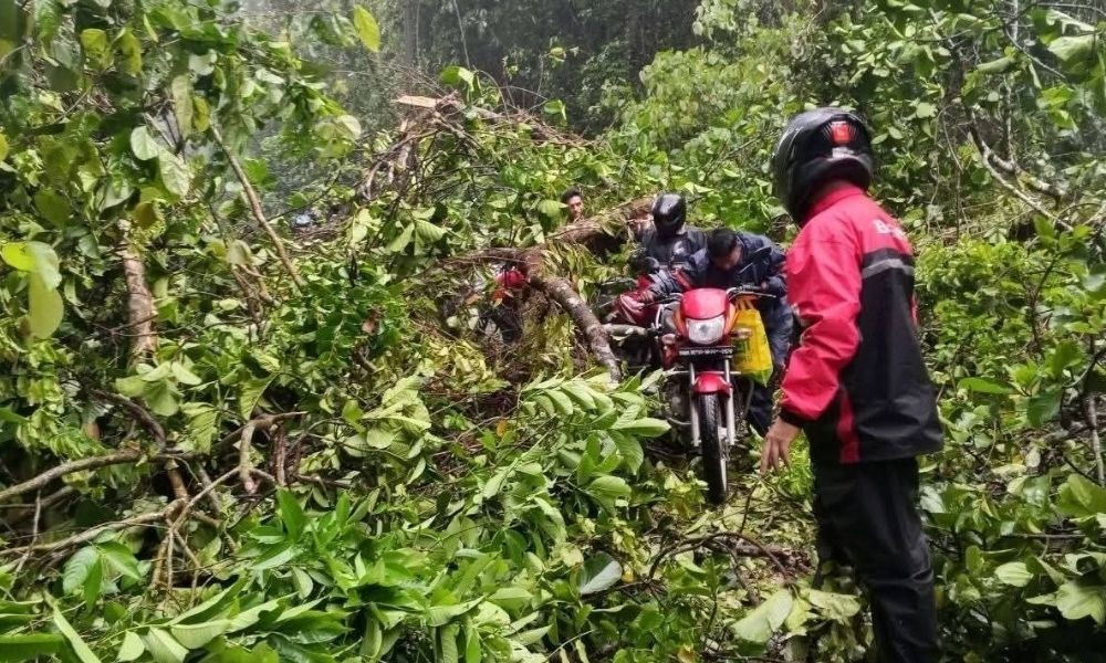 প্রধান উপদেষ্টা পদত্যাগ করবেন না: ফাইজ তাইয়েব আহমেদ