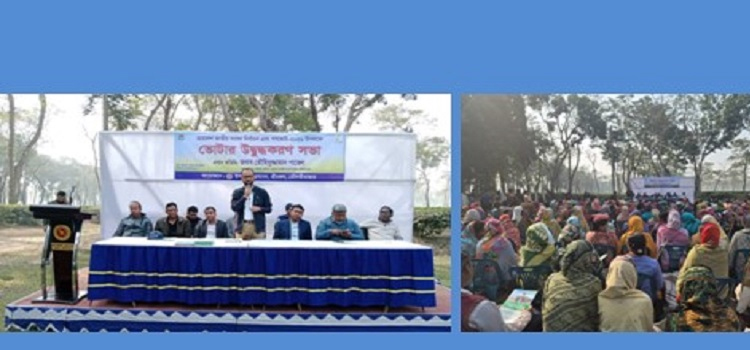 প্রধান উপদেষ্টা পদত্যাগ করবেন না: ফাইজ তাইয়েব আহমেদ