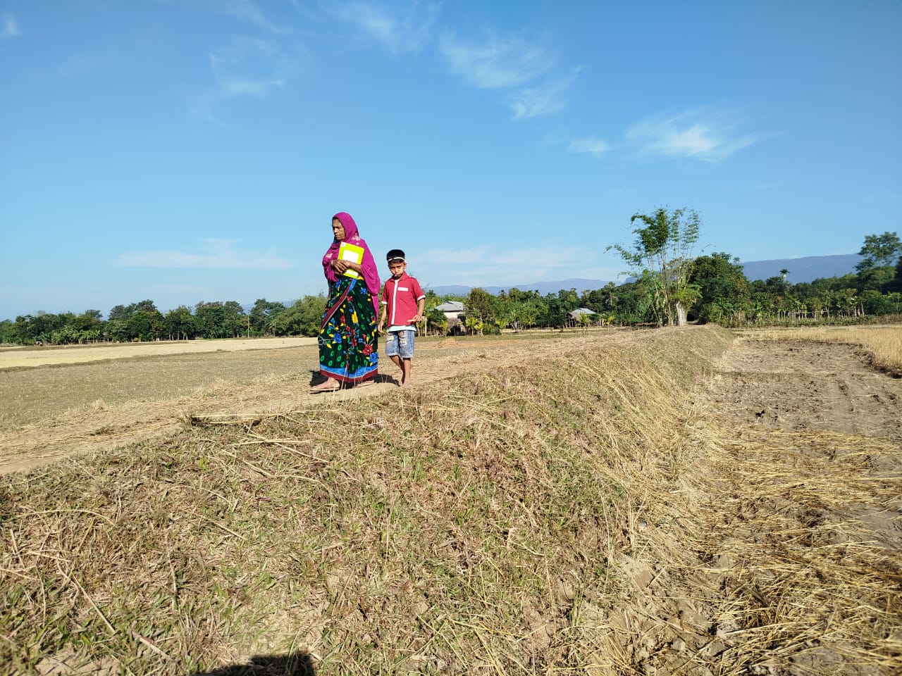 প্রধান উপদেষ্টা পদত্যাগ করবেন না: ফাইজ তাইয়েব আহমেদ