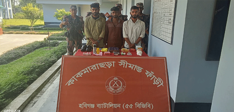 প্রধান উপদেষ্টা পদত্যাগ করবেন না: ফাইজ তাইয়েব আহমেদ